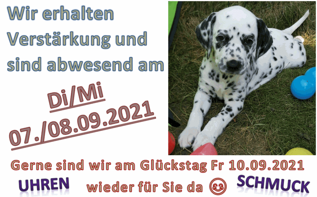 Inserat_Kurz-Ferien_Dalmi-Welpe_2020_09_02_BB_HP Inserat_Kurz-Ferien_Dalmi-Welpe_2020_09_02_BB_HP